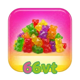 66vt
